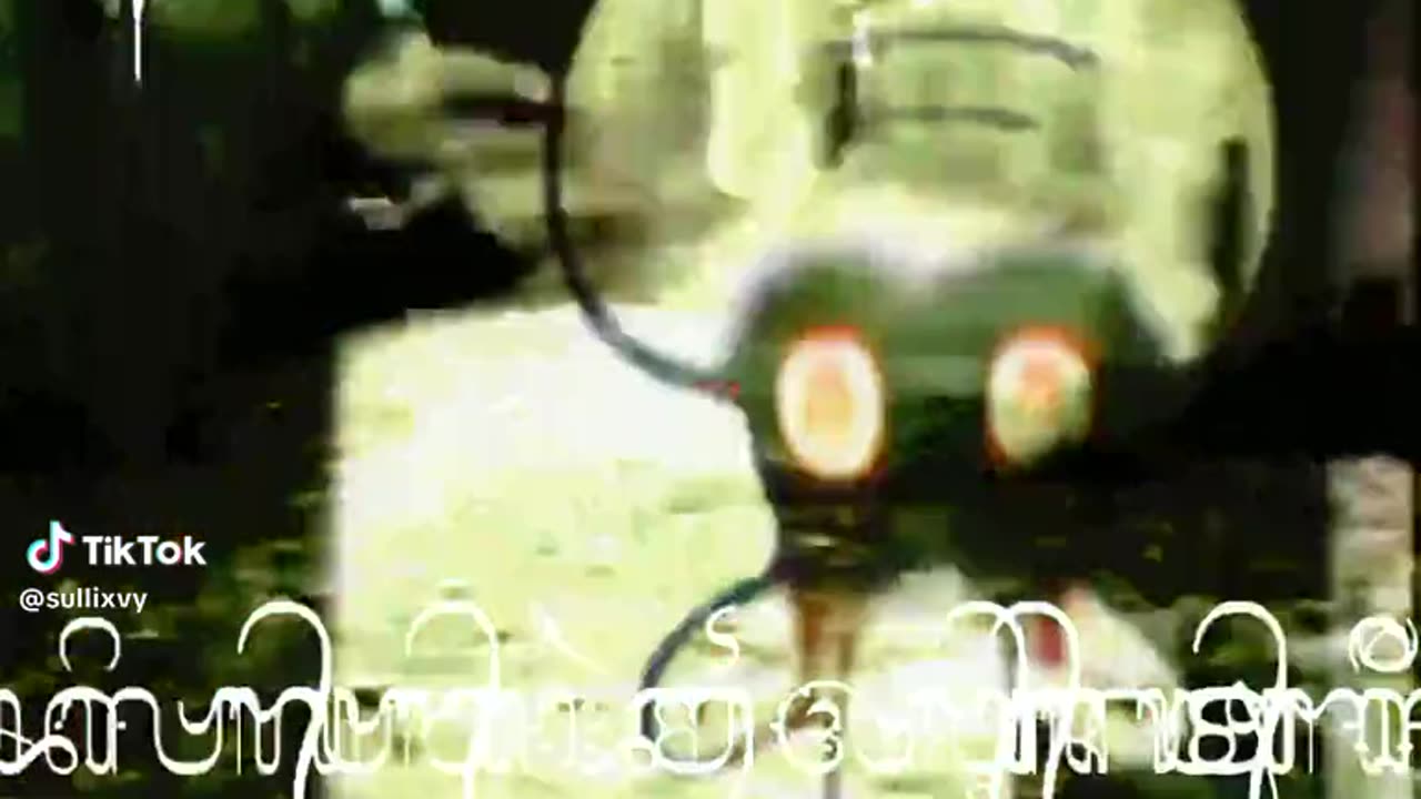 Video of terror