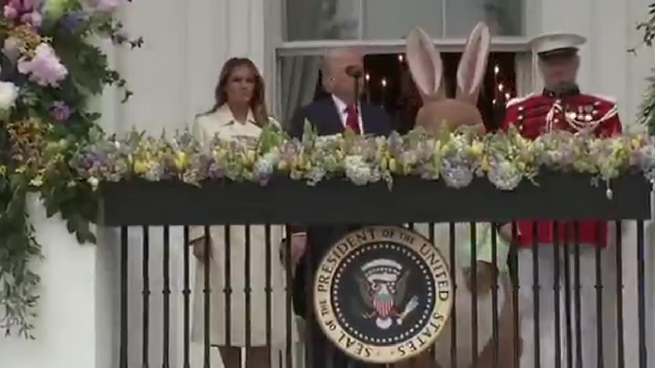 Karli Bonne’ - Wow, check out the new bunny! No more white rabbit