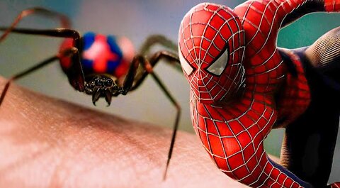 From Spider Bite to Web Slinging | Spiderman CLIP