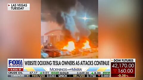 ‘DOMESTIC TERRORISM’: RNC chair praises Elon Musk as activists dox Tesla owners