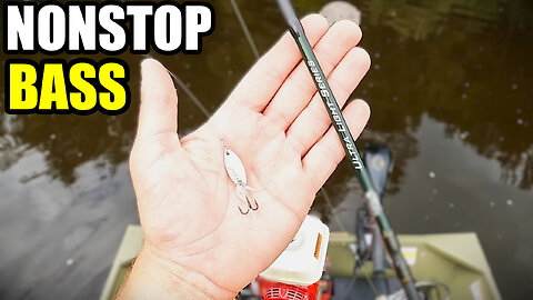 Ultralight Madness! Catching Tons of Mississippi River Smallmouth Bass