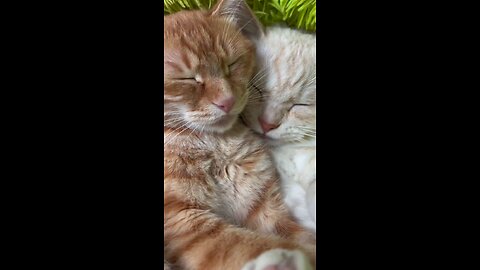 Cute converstation 🤌😍