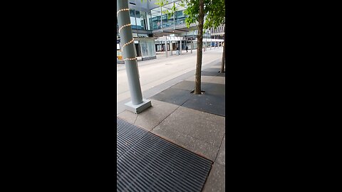 trees