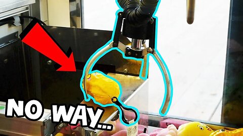 What happened at the claw machine will shock you...