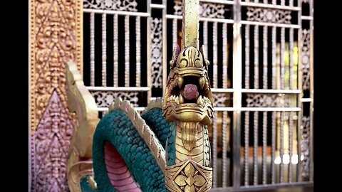 Serpiente en movimiento