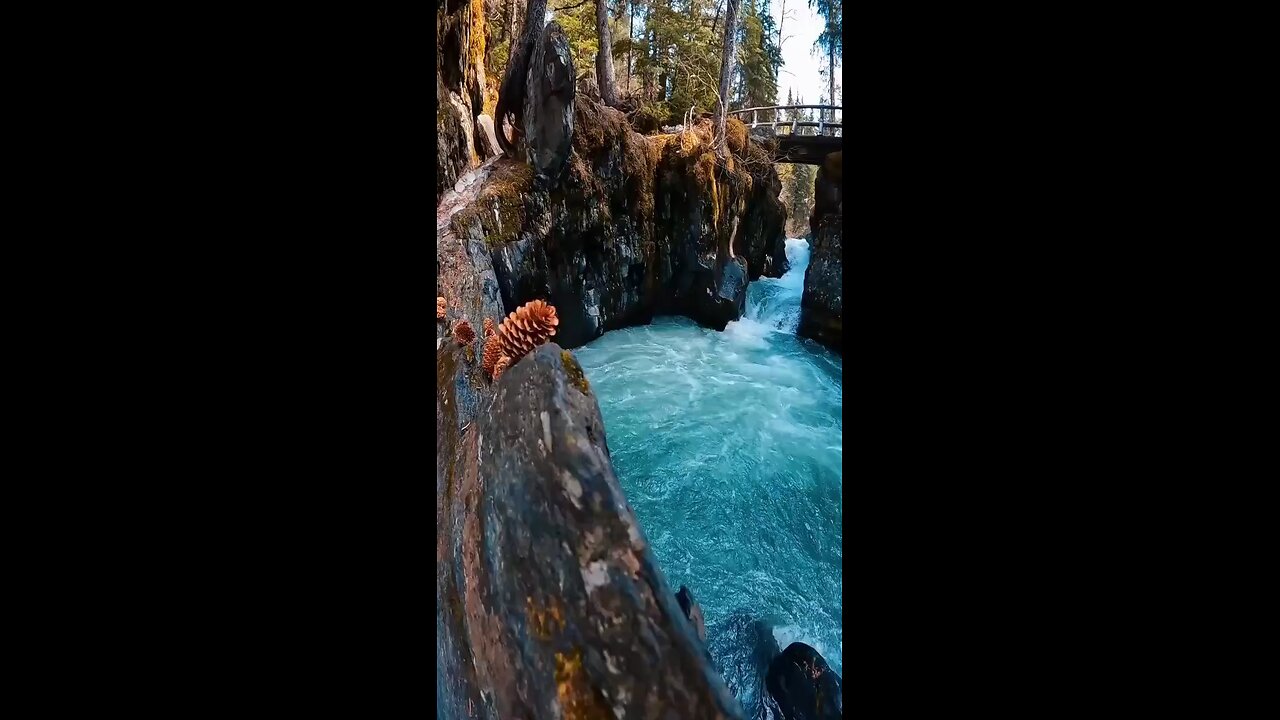 природа 🍄🟫 исцеляет