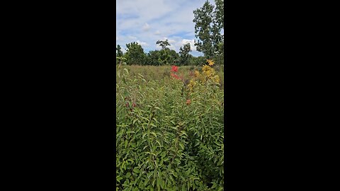Another Sign of an Early Fall?