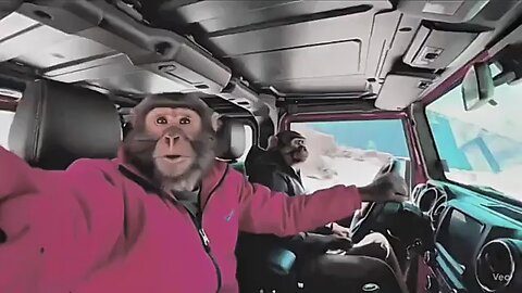 monkey blog