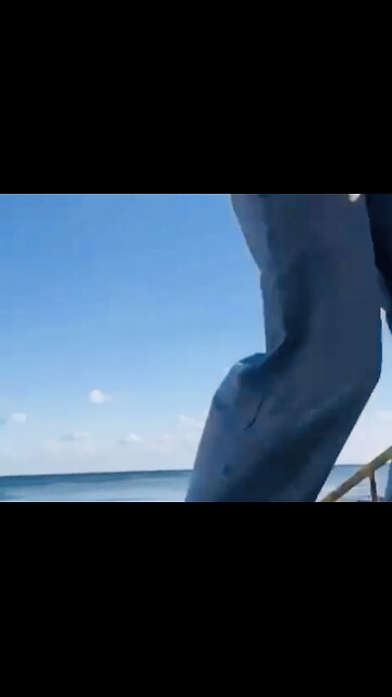 🇷🇺 🇺🇦 🏹 Mars Attacks? Birds? Drones? 💥🪖