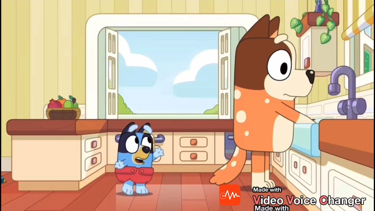 Bluey walks for the first time.