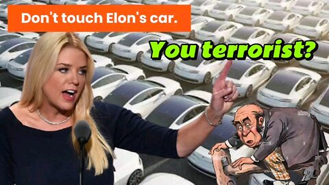 Don't touch Elon's car! Attacks on Tesla dealerships grow nationwide #scruftuff #gioycm