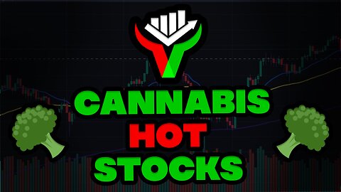 🤑250% STOCK RUNNER THIS NOON, NEXT ONE COOKING?🤑TRUMP POTENTIALLY RECLASSIFYING CANNABIS⚠️PRO LIVE