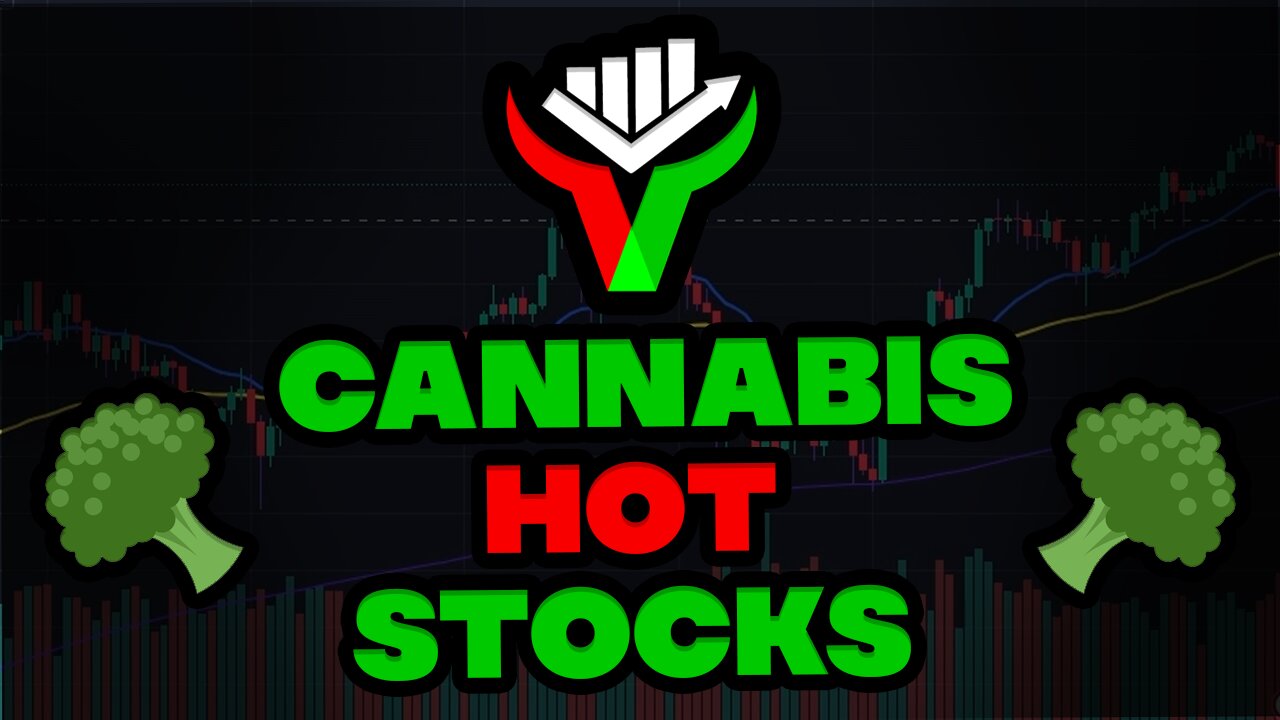 🤑250% STOCK RUNNER THIS NOON, NEXT ONE COOKING?🤑TRUMP POTENTIALLY RECLASSIFYING CANNABIS⚠️PRO LIVE