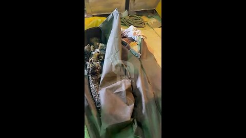 11 Jan 2026. Iran massacred protesters.