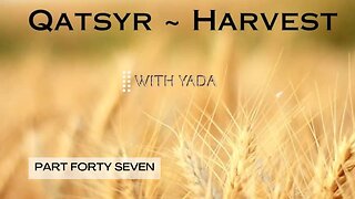 Qatsyr ~ Harvest Part Forty~Seven 03 June 2025
