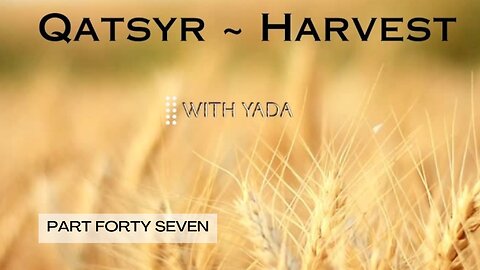 Qatsyr ~ Harvest Part Forty~Seven 03 June 2025