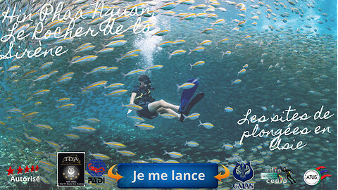 🌸 Plongée à Hin Phaa Nguan (Pattaya), Le Rocher de la Sirène, un Secret Bien Gardé