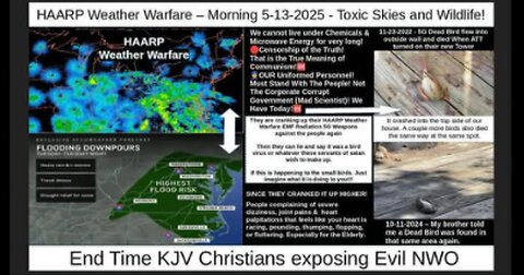 HAARP WEATHER WARFARE – MORNING 5-13-2025 - TOXIC SKIES AND WILDLIFE!