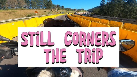 Still Corners - The Trip #music #bikerdog #southafrica #jontyknine