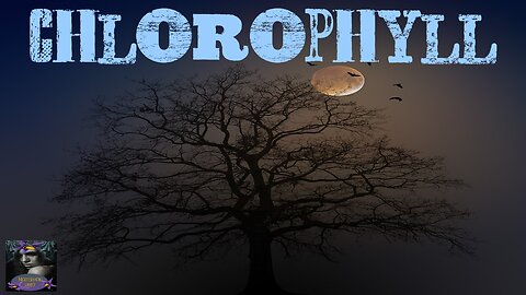 Chlorophyll | Stephen Tall | Nightshade Diary Podcast