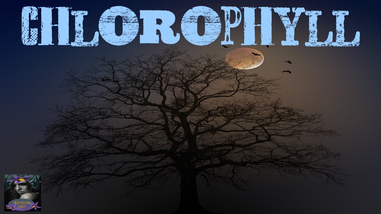 Chlorophyll | Stephen Tall | Nightshade Diary Podcast