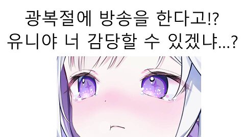 광복절에 방송 해서 논란 터진 아야츠노 유니