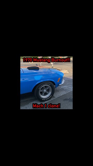 Closed course fastback Mustang video!
