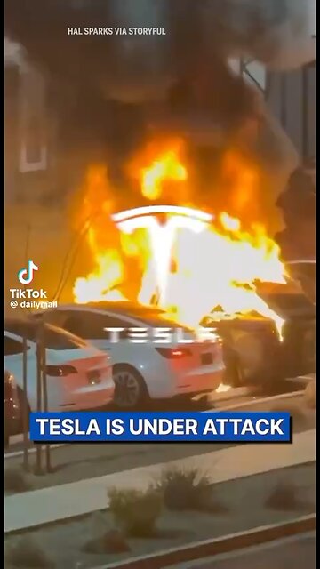 Messed Up Libs Losing It And Terrorizing Tesla Owners & Tesla Dealerships