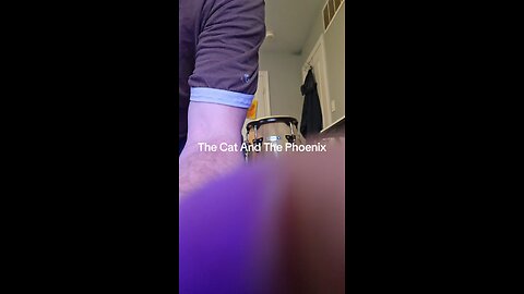 The cat and the Phoenix.