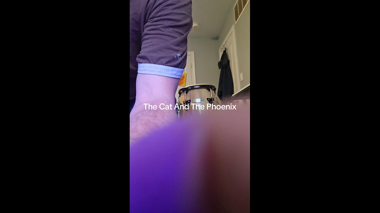 The cat and the Phoenix.