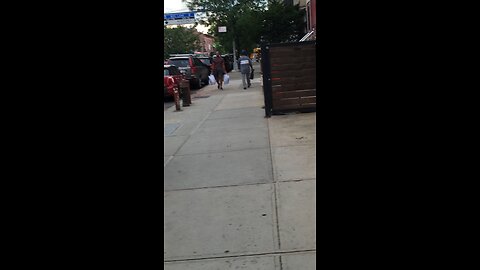 Masking their attacks with noise, someone called the Fecal Dept while taking my daughter to Jujitsu