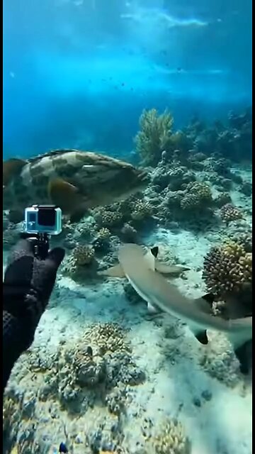 This is what power full