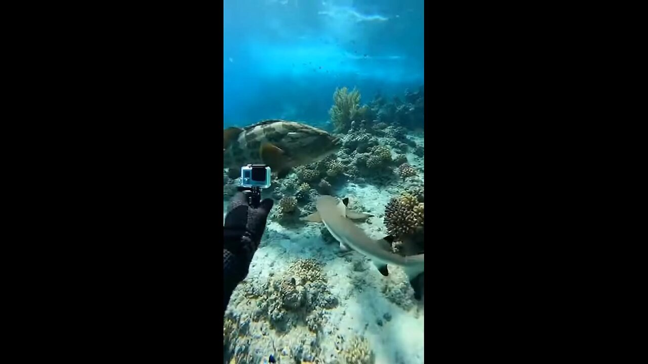 This is what power full