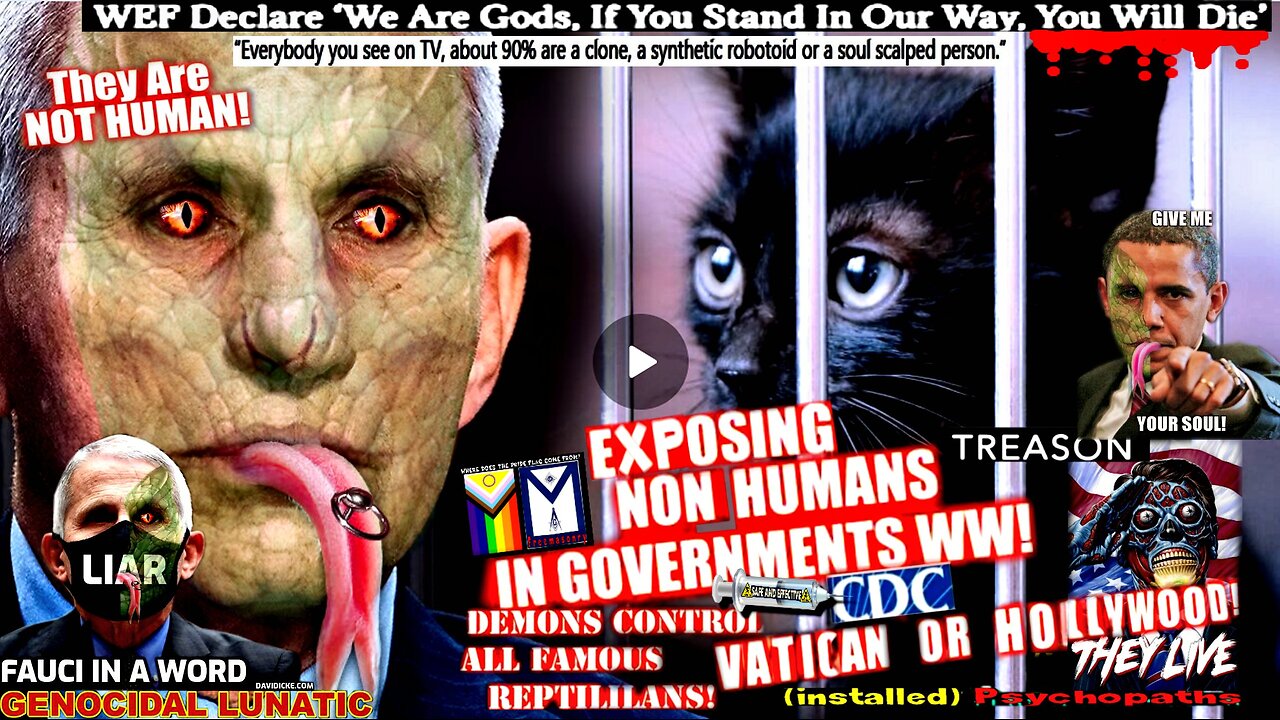 Fauci Says Millions of Pet Cats Must Be Slaughtered to Fight Bird Flu Pandemic (compilation version)