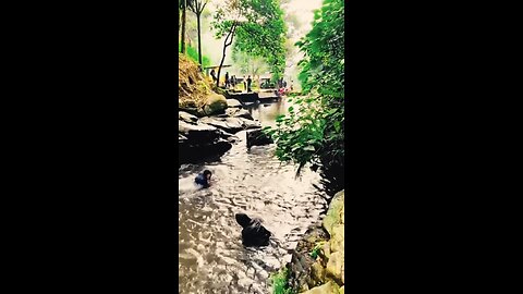 Salah sasaran king indo #viral