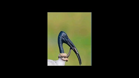 vyvjbjbjb