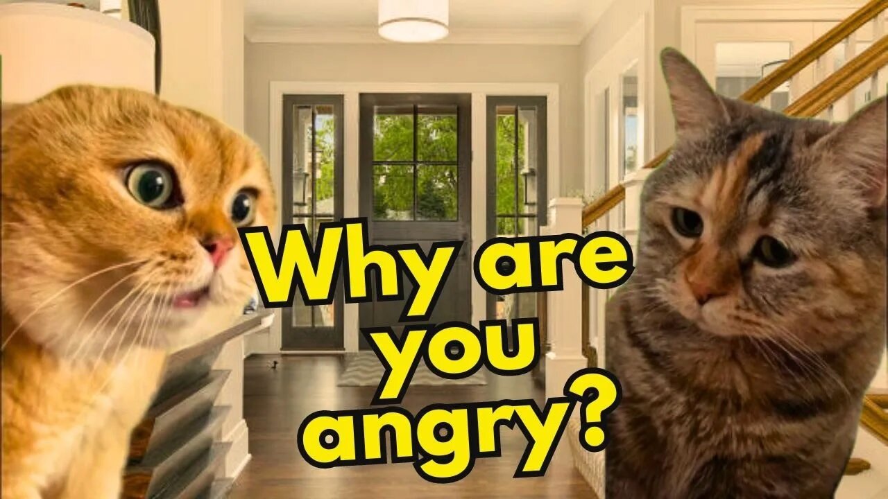 What Do you do when your Girlfriend is Angry? (Ep.20)