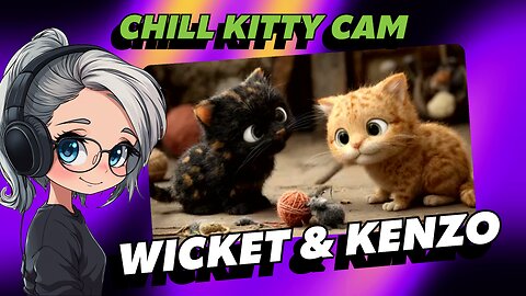 🐾 Lofi Vibes & Kitten Cuddles – Chill Stream with Kenzo, Wicket & Momma Yarnie 🐱🎵