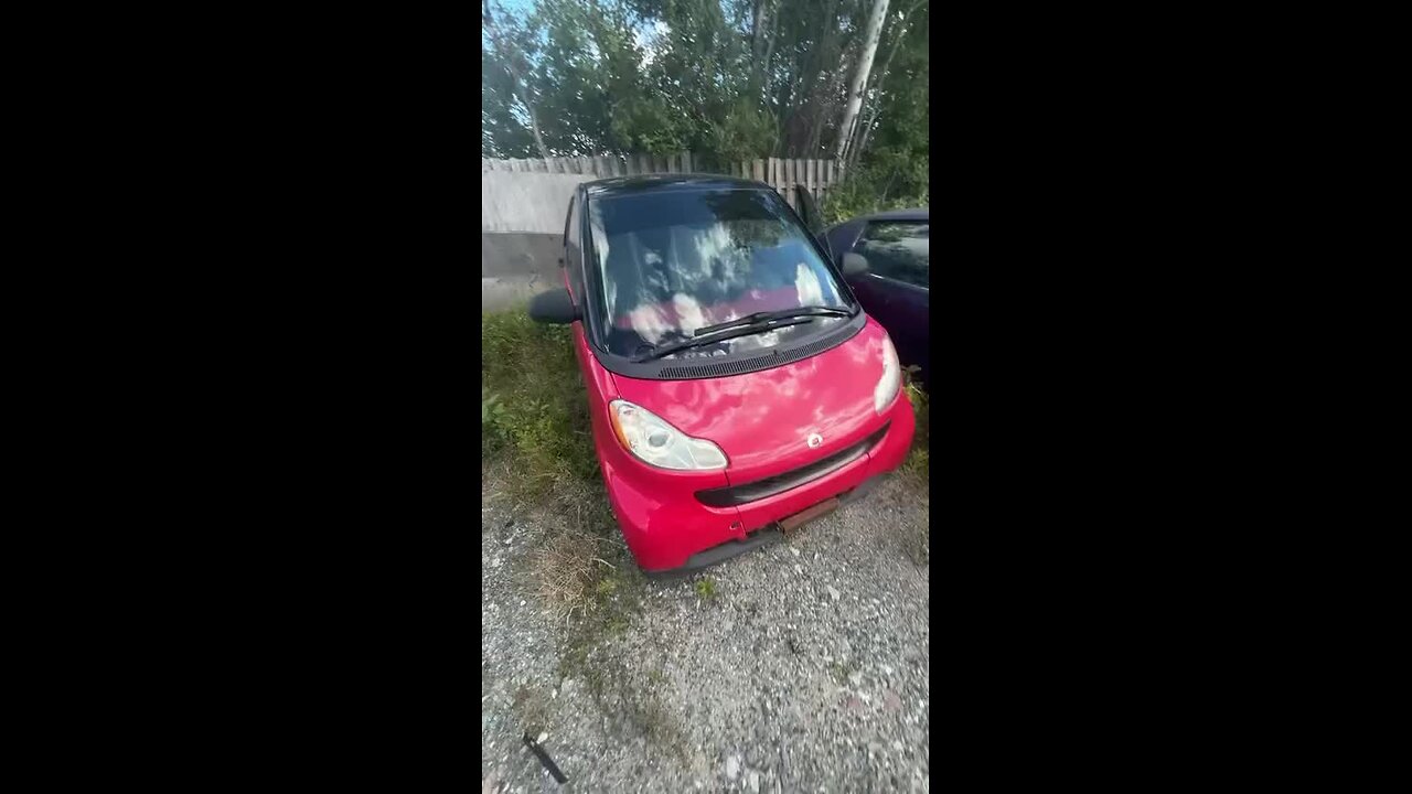 The Rumble Return Stream!