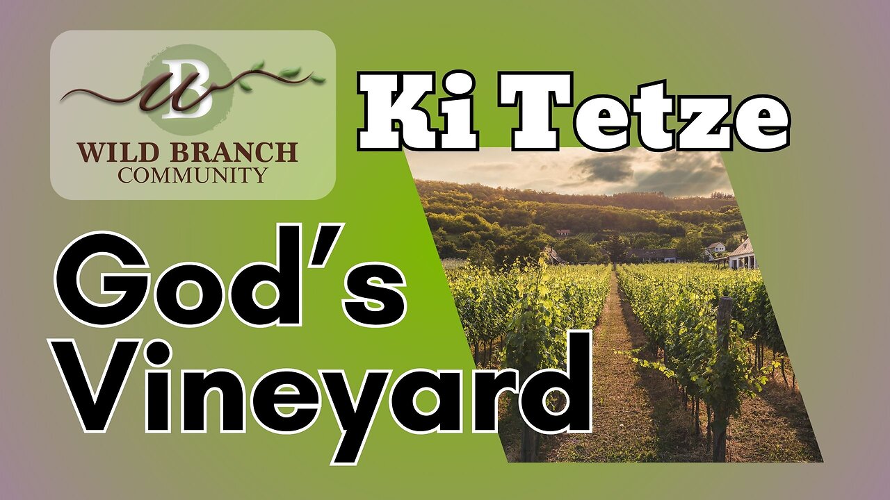 Ki Tetze - God's Vineyard
