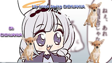vtuber shirayuri lily saying - CHIHUAHUA