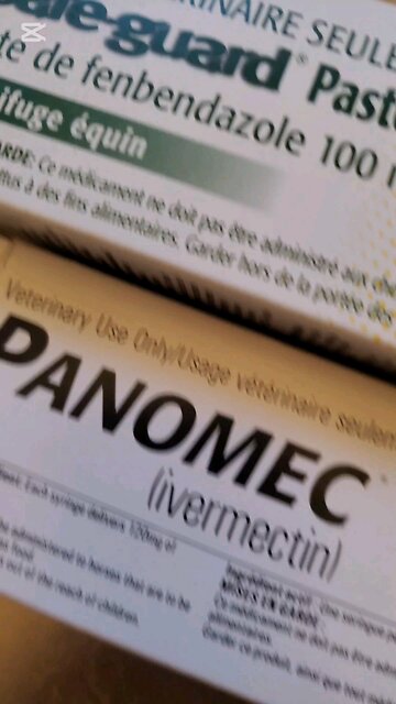 Human takes ivermactin and fenbendazole, cure Cancer