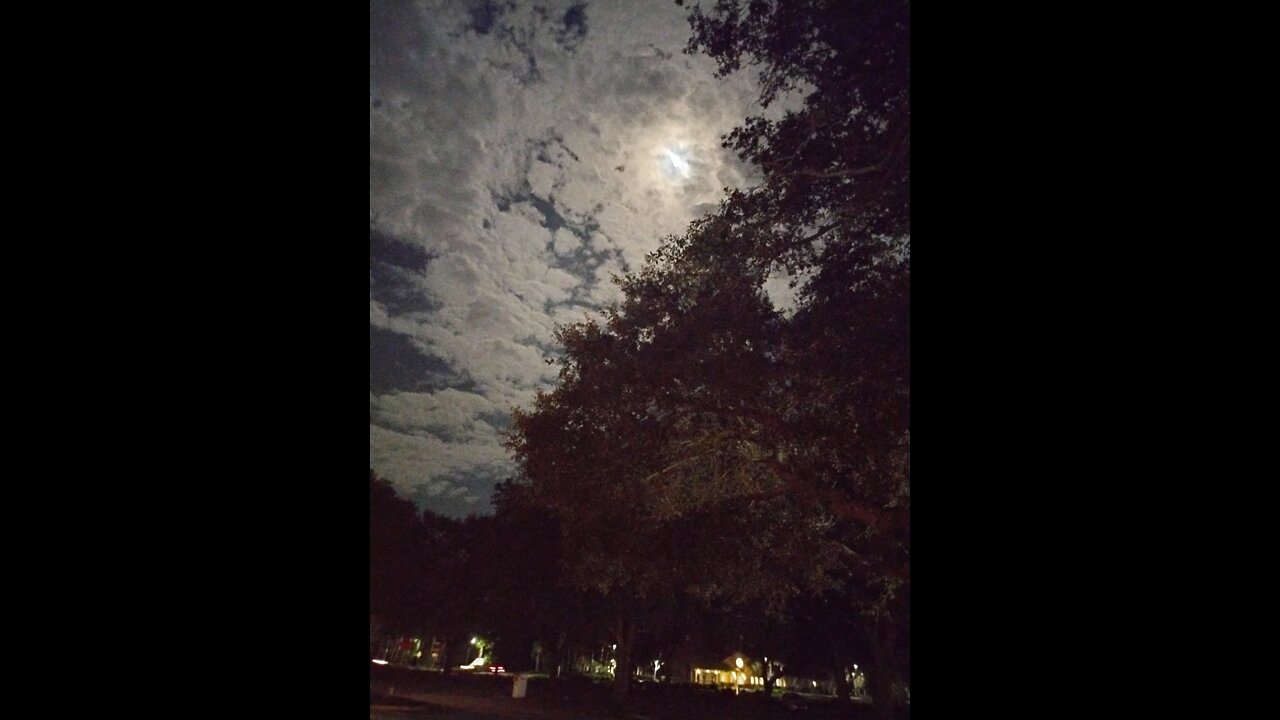 Chopin - Prélude en ut mineur