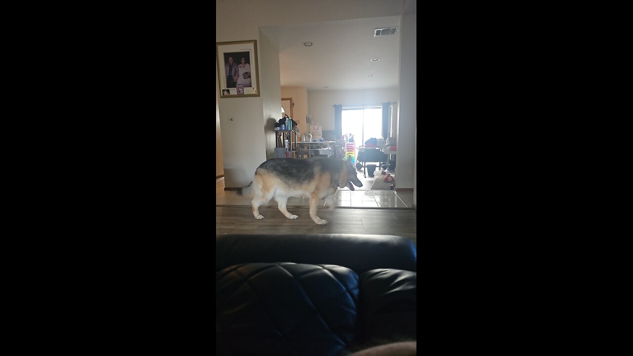 Sheriff sitting down