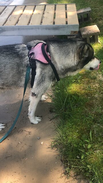 Sunday June 8, Revelation from Jesus Christ