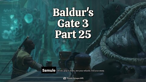 Baldur's Gate 3 Part 25