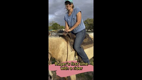 Is Ruger broke?