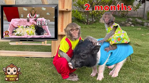 Touching! YiYi sadly misses Ủn Ỉn a lot while watching old videos on TV