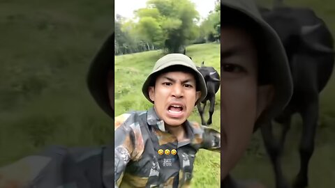 Funny Animals #funnyanimals #animals #pets #shorts