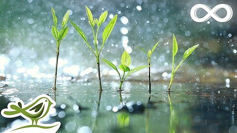 11 Hours of Soothing Music with Rain Sounds - Piano Music, Lullaby, Melodious Background Music